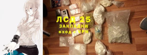 гидра Белокуриха