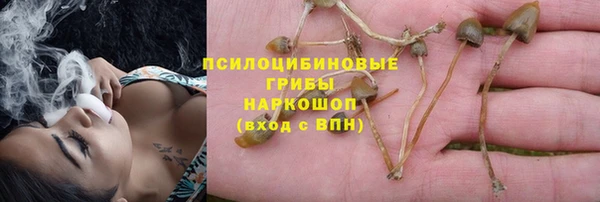 тгк Беломорск