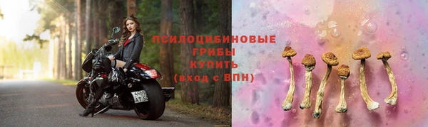 тгк Беломорск