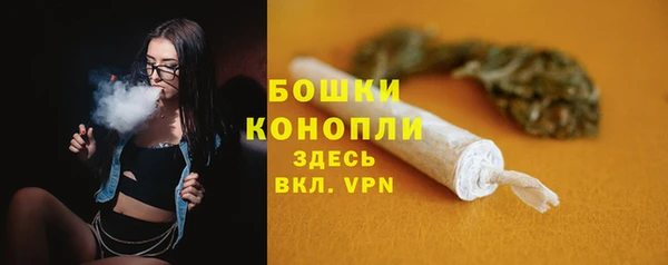 гидра Белокуриха