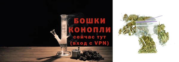 гидра Белокуриха