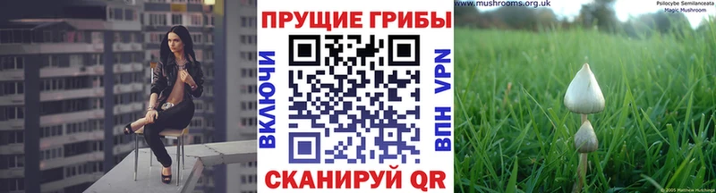 Галлюциногенные грибы прущие грибы  дарнет шоп  Козельск 