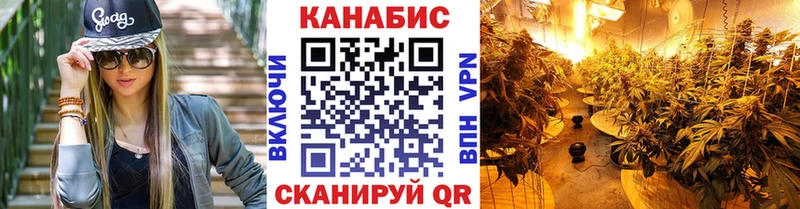 Канабис ГИДРОПОН  цены   Козельск 